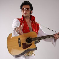 Artyści na Imprezy – Elvis żyje!